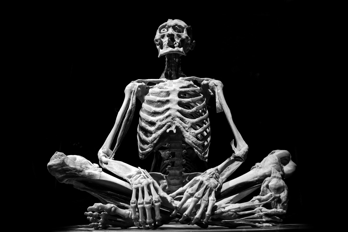 Monochrome Shot of a Human Skeleton Model
